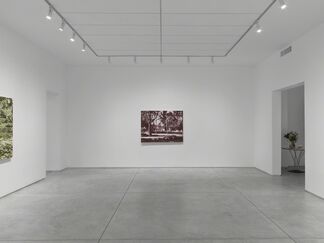 Jim Richard: I Know a Place, installation view