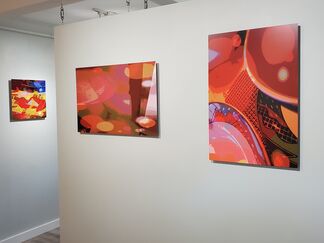 A NEW REALITY: Digital Photography in the Abstract Tradition by DEBORAH FORMAN, installation view
