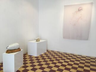 The Dream, installation view