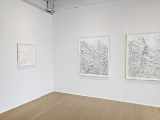 Alisa Dworsky: InVersion, installation view