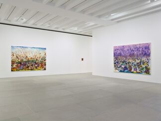 Ali Banisadr: AT ONCE, installation view