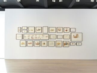 James Capper: Mountaineer, installation view