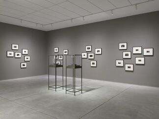 Dario Robleto: The First Time, The Heart, installation view