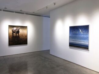 A Brush with Nature, installation view