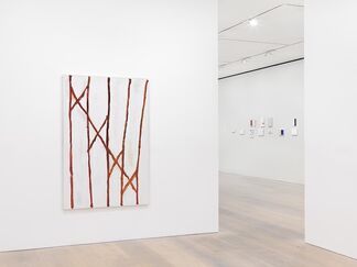 Raoul De Keyser: Drift, installation view