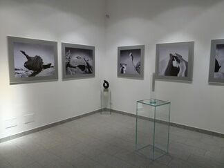 M/ARBRES | Jill Höjeberg  - Marika Vicari - Alberto Bortoluzzi, installation view