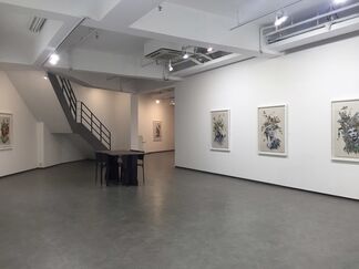 Maria Rivans Solo Exhibition, installation view