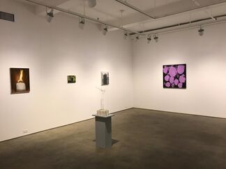 New Gallery / New Work, installation view