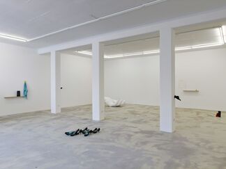 Émilie Pitoiset - All the gold that I have, installation view