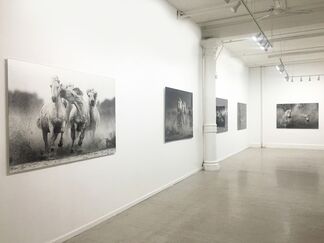 Passion, installation view