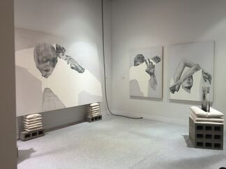 Galeria Senda at VOLTA NY 2016, installation view