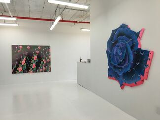 Chaos and Wild Again, installation view