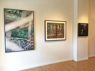 STAGING NATURE: A WORLD UNTO ITSELF, installation view