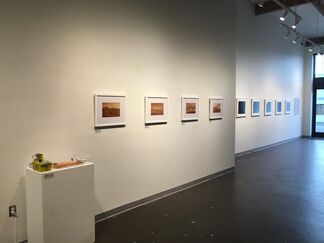 Reactive Matters, installation view