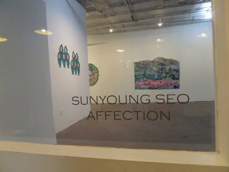 Sunyoung Seo: Affections, installation view