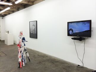 The Outlanders, installation view