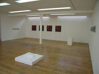 Mario Dellavedova, Still Lifes Off, with the participation of Carlo Benvenuto, installation view