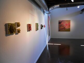 "Women Under the Influence: Conversations in Paint with Mary Warner, Jane Callister, and Wendy Kveck", installation view