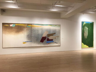 FIELDS OF COLOR, installation view