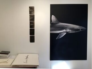 galerie 103 at Aqua Art Miami 2014, installation view