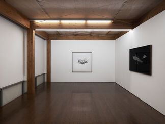 SF, installation view