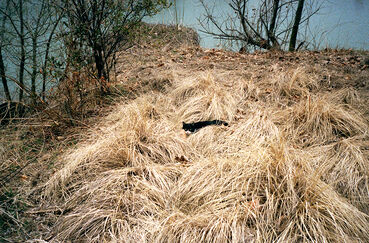 Ed Panar, ‘Along the Monongahela River’, 2006