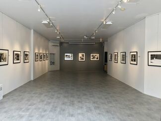 The Champ - My Year With Muhammad Ali, installation view