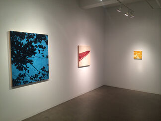 Isabel Bigelow: Recent Paintings, installation view