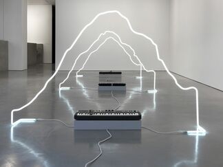 Richard T. Walker: in defiance of being here, installation view