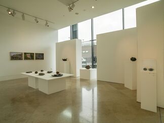 Steve Dilworth, installation view