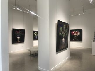 T.M. Glass, installation view