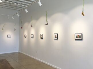 The Man Who Loved Flowers, installation view