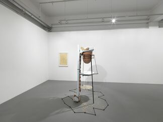 Tunga: From "La Voie Humide", installation view