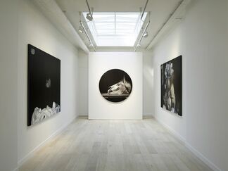 Hynek Martinec: The Birth of Tragedies, installation view