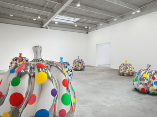 Yayoi Kusama: Give Me Love, installation view