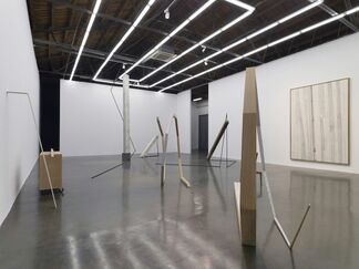 Hu Xiaoyuan: Ant Bone, installation view