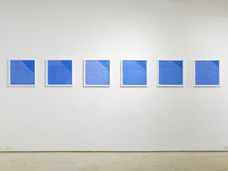 Black & Blue, installation view