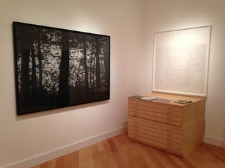 Mila Libman: Second Nature, installation view