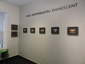 Evanescent, installation view