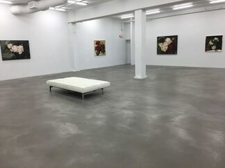 Gabryel Harrison | The Arc of Our Disappearance, installation view