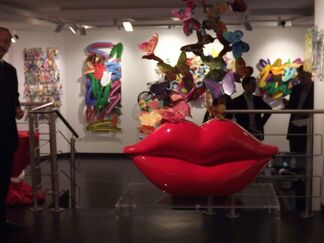 Flying Colors, installation view