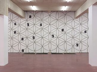 Mircea Cantor - 5775 (Part I), installation view