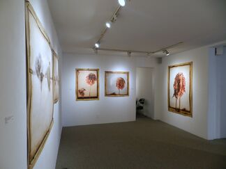 Kris Cox: WHAT DO I KNOW, installation view