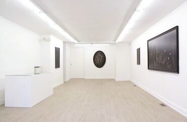 Tara Sellios: Sinuous, installation view