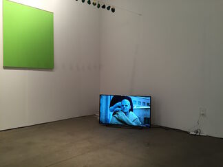 OTTO ZOO at Expo Chicago 2015, installation view