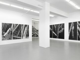 Anna & Bernhard Blume - Im Wald, installation view