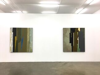 Otto Donald Rogers - Recent Work, installation view