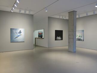 Lombard Freid Gallery: Ulrich Lamsfuss: Escape Escapism, installation view