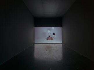 Hu Xiaoyuan: Ant Bone, installation view