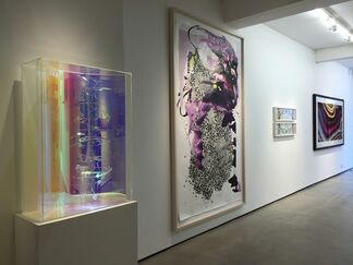 Lumière: Seeing in New Light, installation view